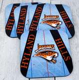 Jaguars ice printed coaster set